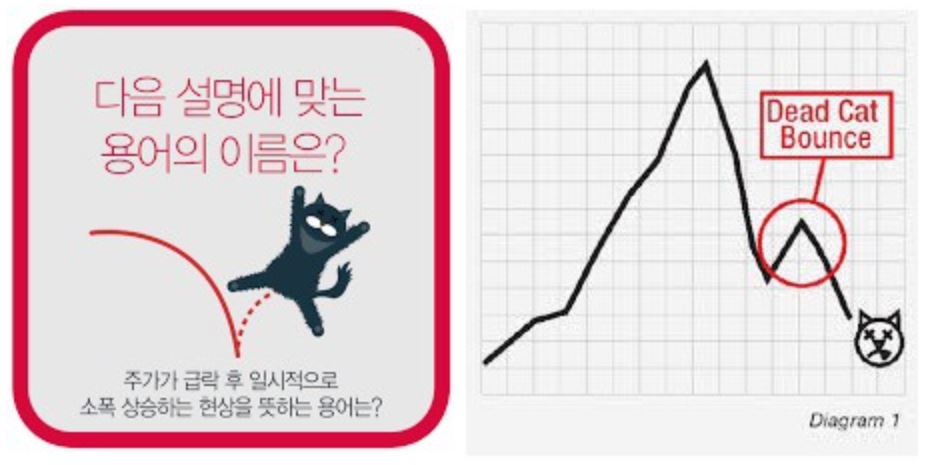 데드 캣 바운스 뜻과 보는 법: 위험한 반등 구분 참고 이미지 1
