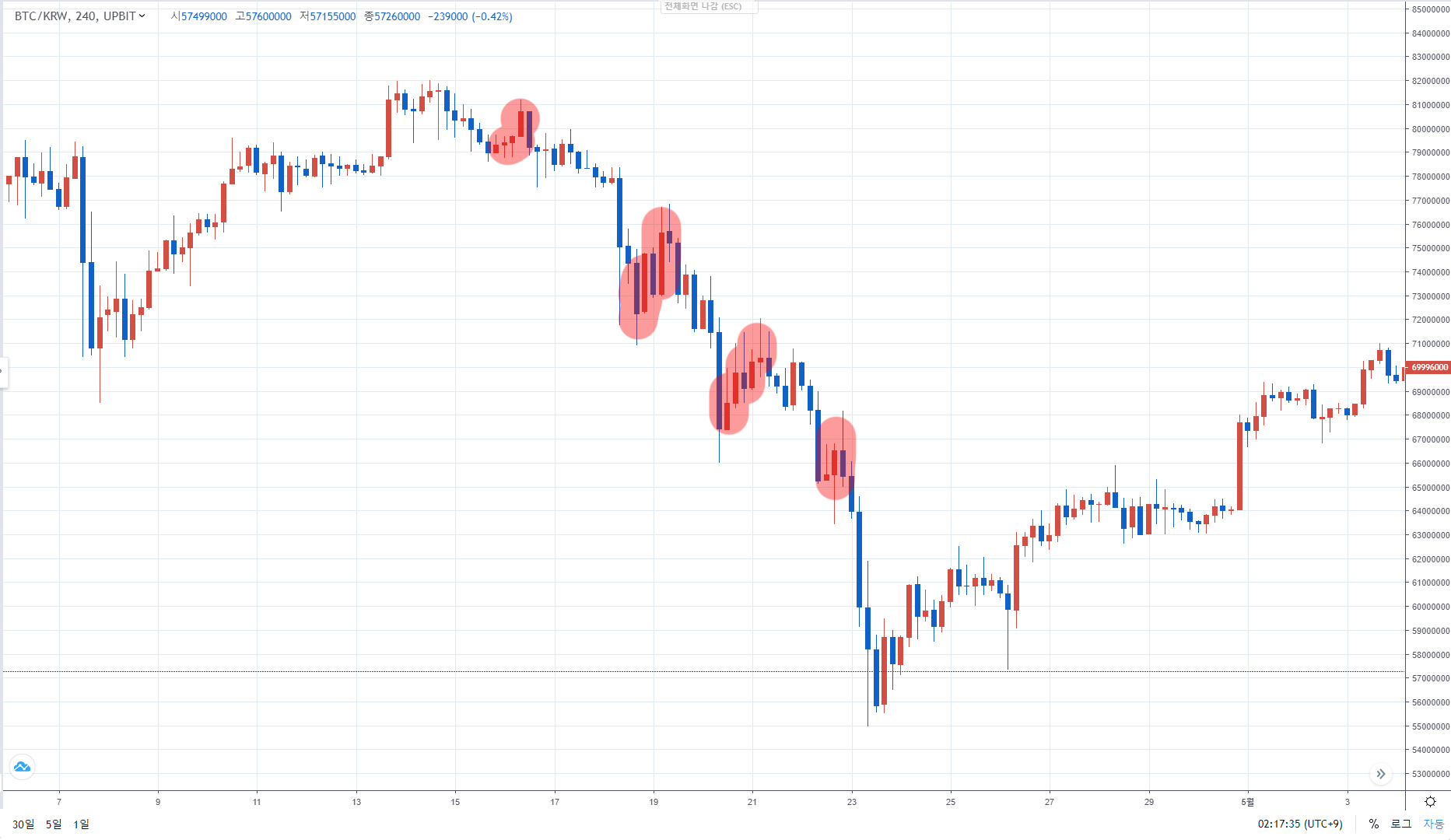 데드 캣 바운스 뜻과 보는 법: 위험한 반등 구분 참고 이미지 2
